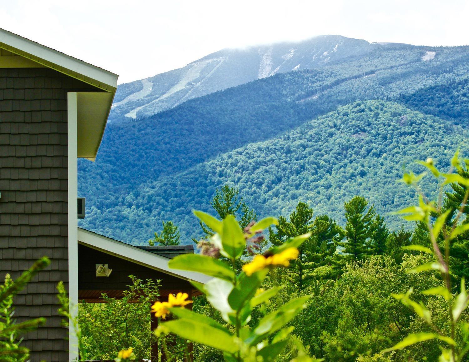 Lookout Mountain Chalet Villa Уилмингтън Екстериор снимка